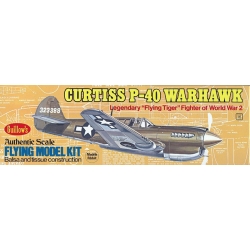 Curtiss P-40 Warhawk [501] - Samolot GUILLOWS