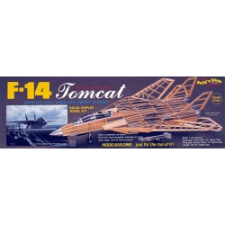 F-14 Tomcat [1402] - Samolot GUILLOWS