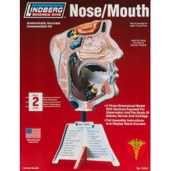 Model plastikowy Lindberg - Nos / usta