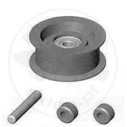 PV0021 Guide Pulley Assy, R30
