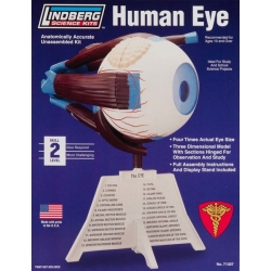 Model plastikowy Lindberg - Ludzkie oko