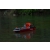 Łódź motorowa SNIG Rescue Turbojet Boat 2.4Ghz RTR Czarna - Heng Long 3702